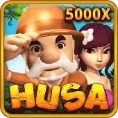 Husa game cover